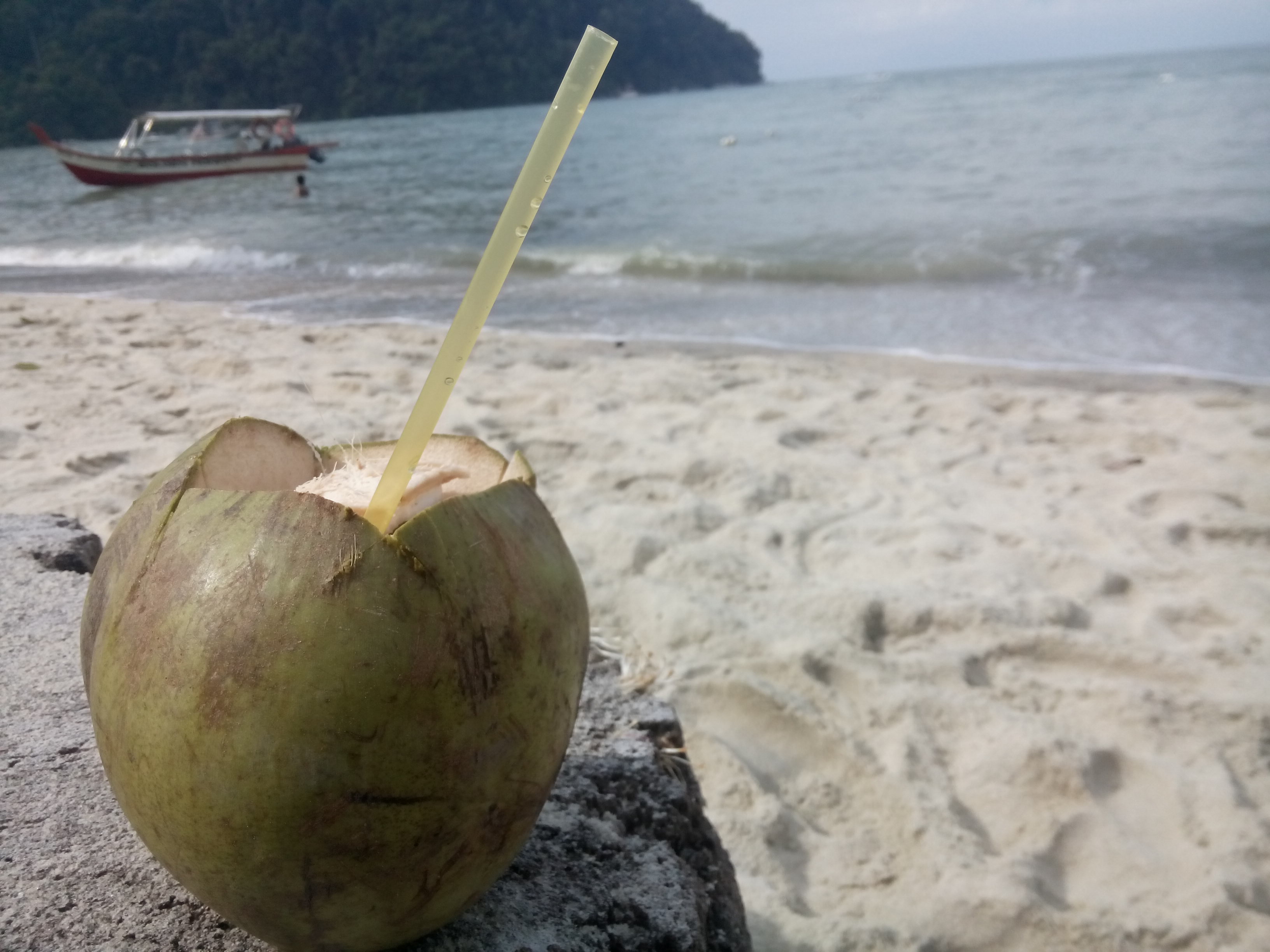 A coconut with a straw in it in the foreground, against a beach, and sea with a boat in the background