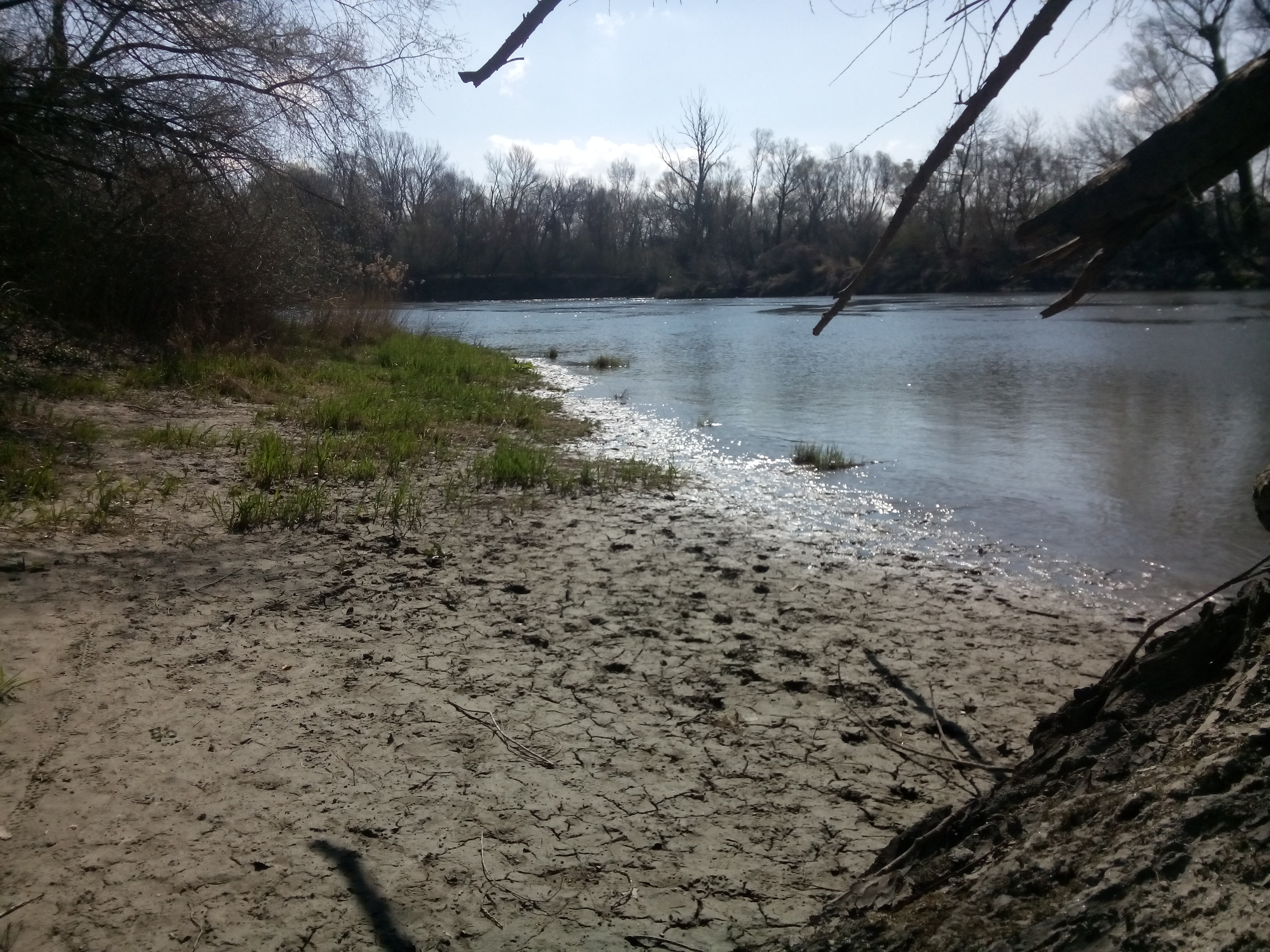 Sandy and grassy shore besides blue-brown river water