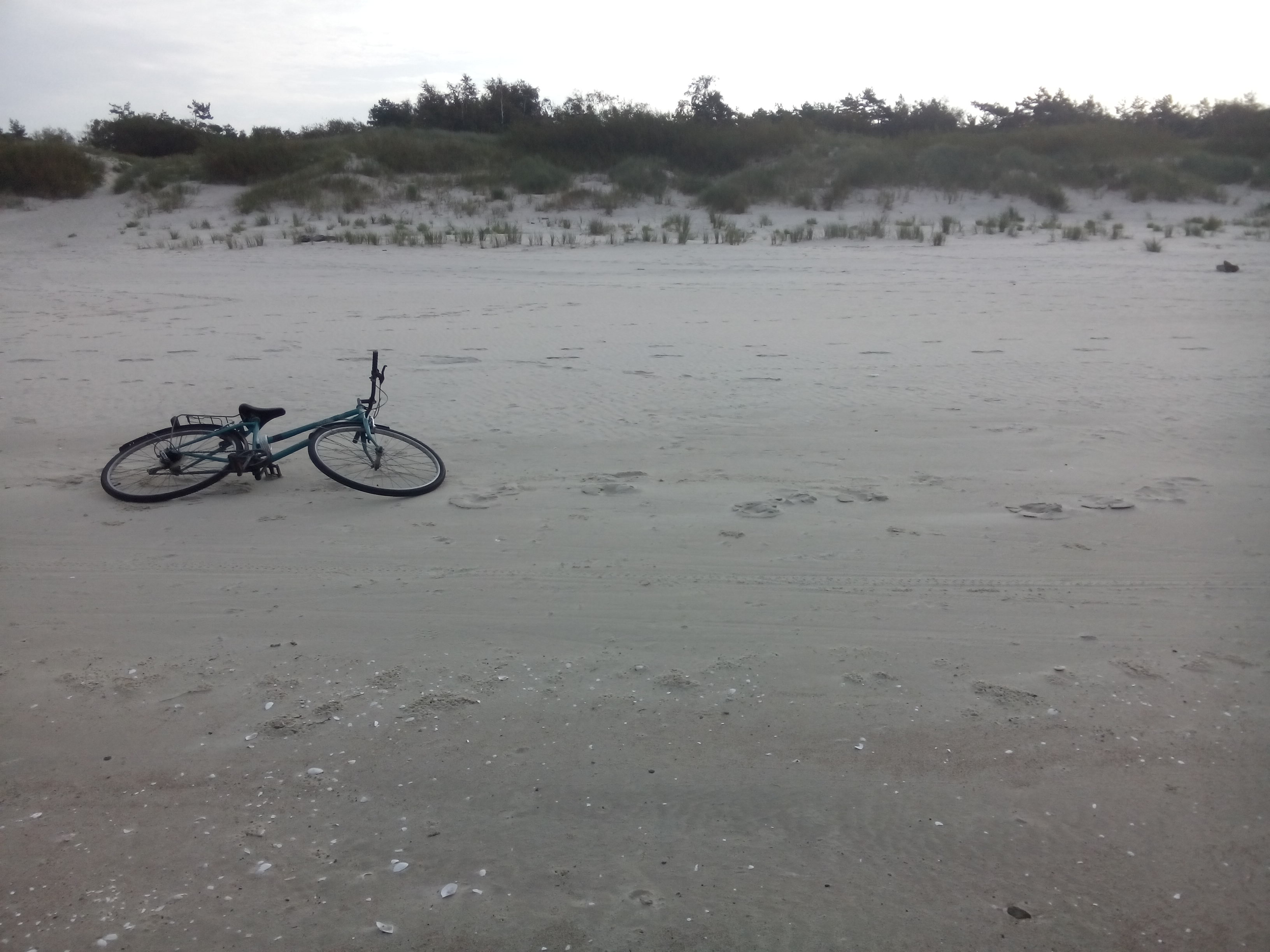 A wet sandy beach stretches out ahead; a green bicycle lies on its side in the middle left of the frame