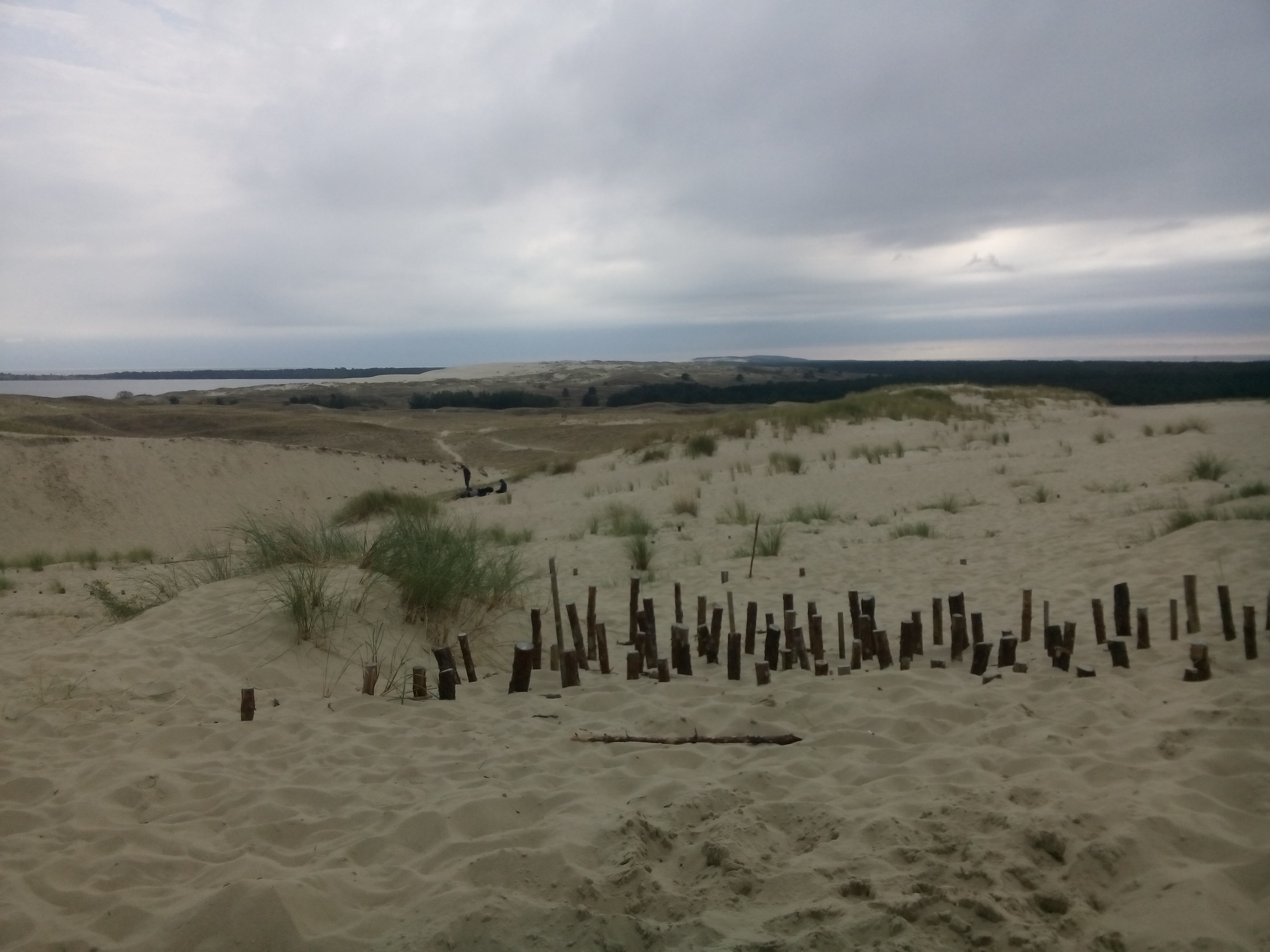 The tips of fence posts emerge from dune sand, and in the distance are forests and clouds