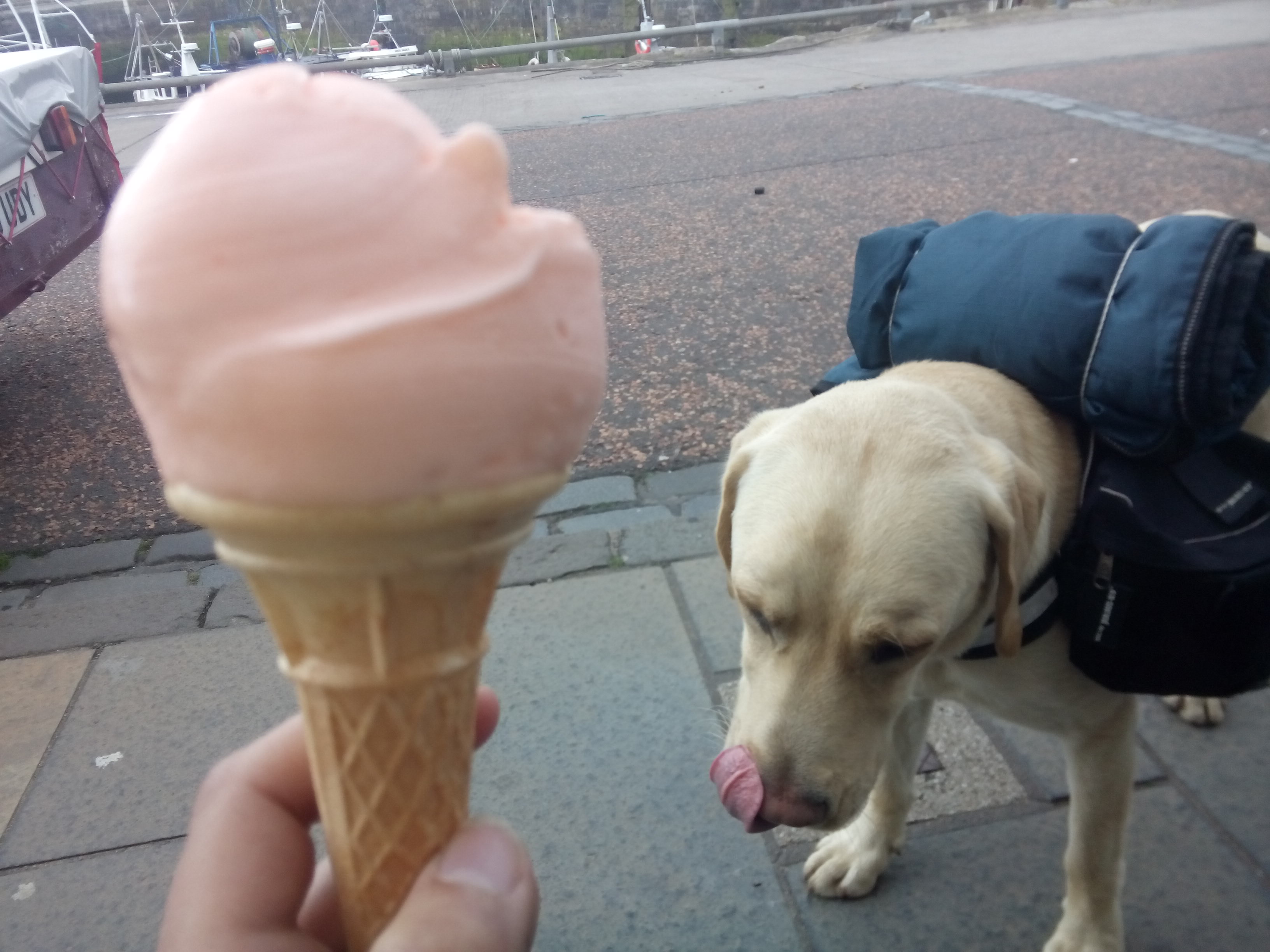 Max licks his lips besides a pale orange ice cream in a cone