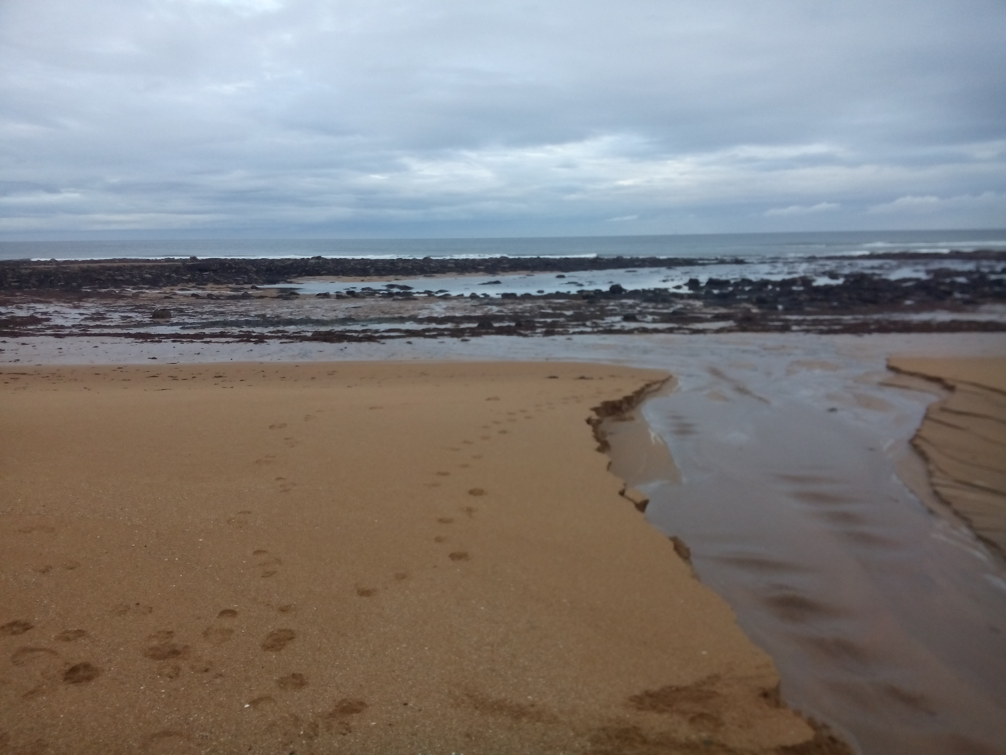 A golden, wet sandy beach, cut through with rivulets of water, under grey-blue clouds