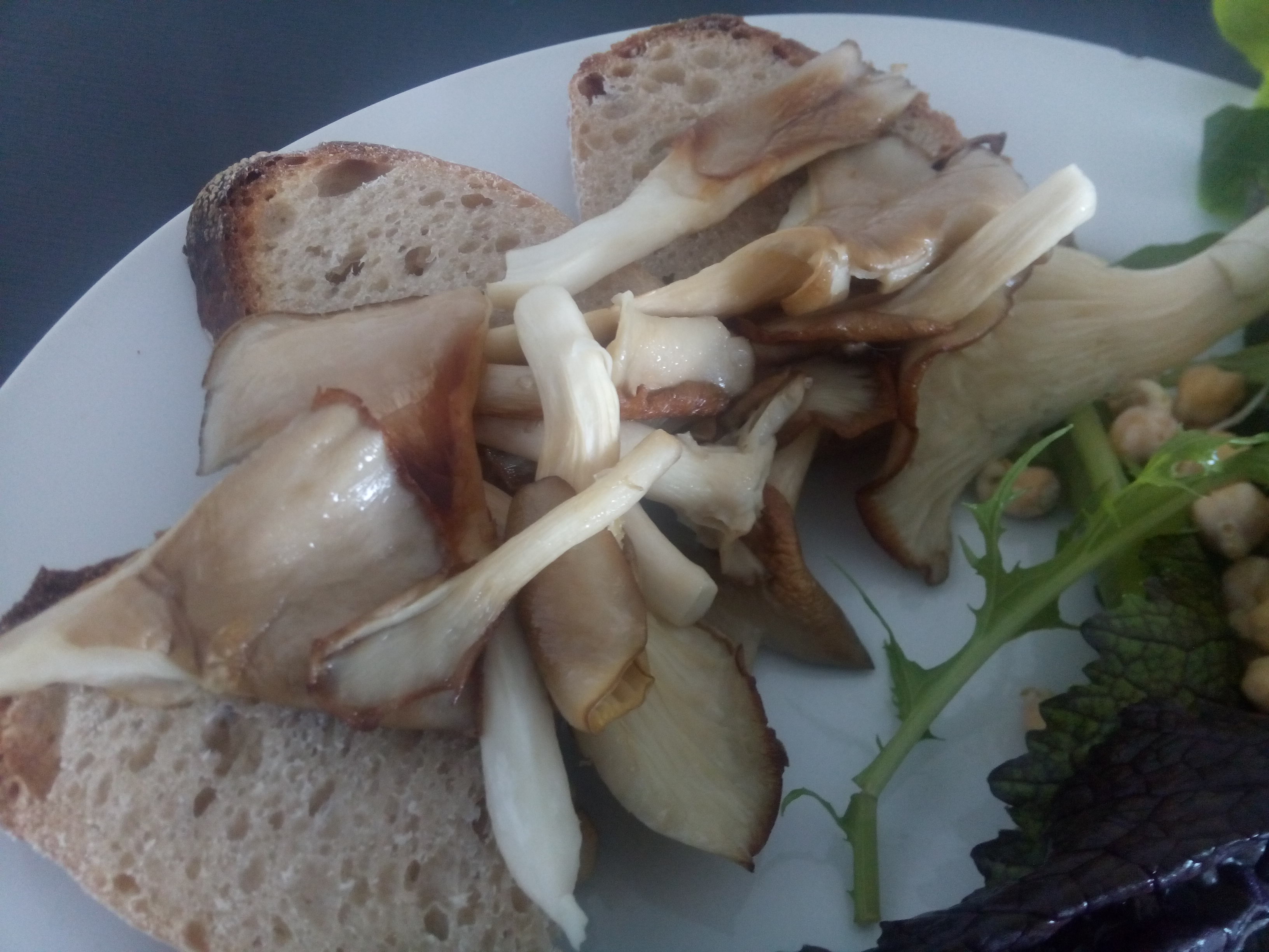 A close up of golden seared oyster mushrooms on sourdough bread